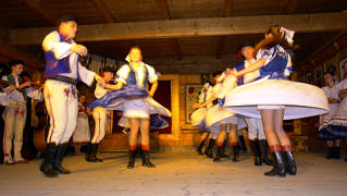 taczy ZIELONY JAWOR z Krempach