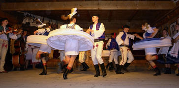 taczy ZIELONY JAWOR z Krempach