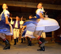 taczy ZIELONY JAWOR z Krempach